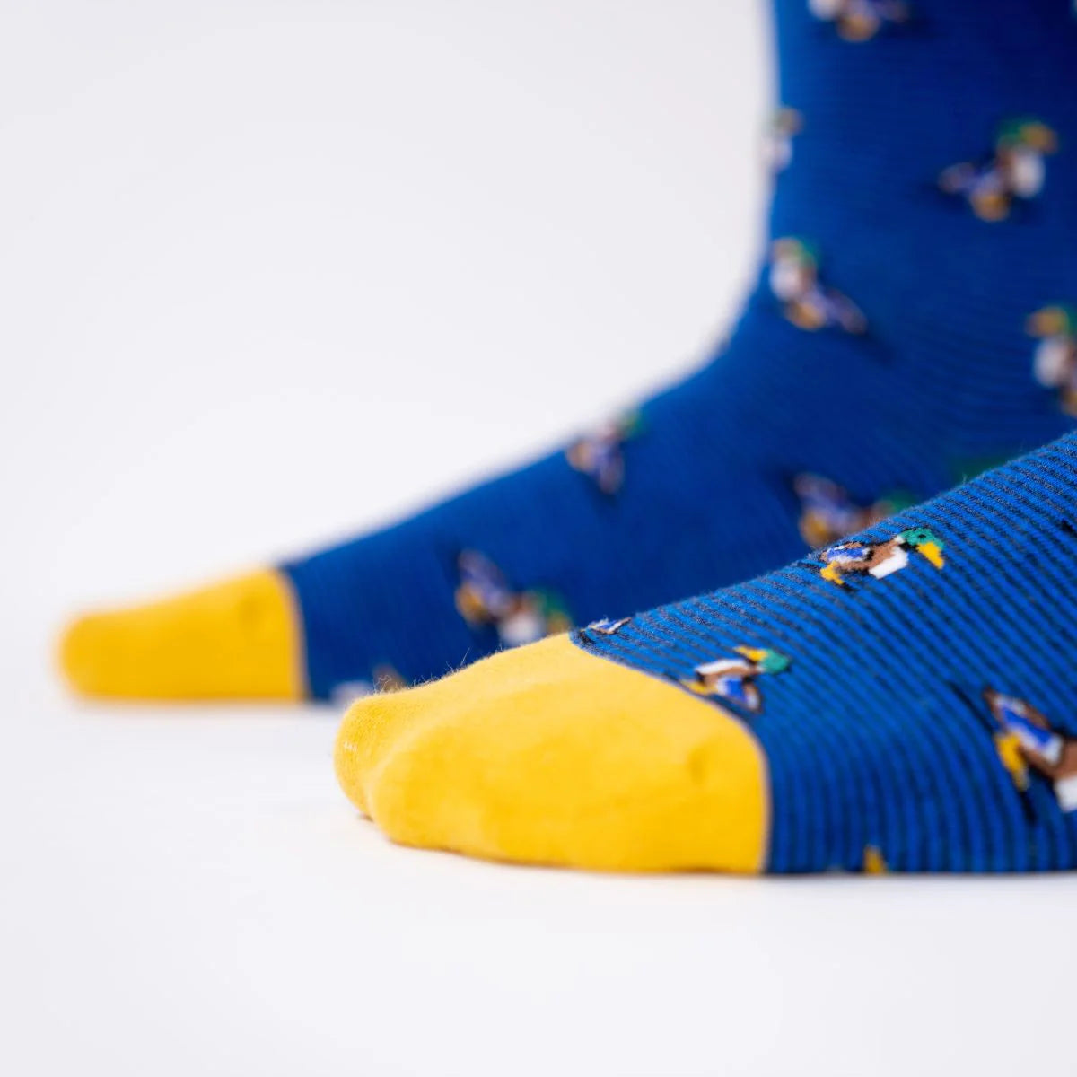 Billybelt - Chaussettes en coton peigné animaux - Canard
