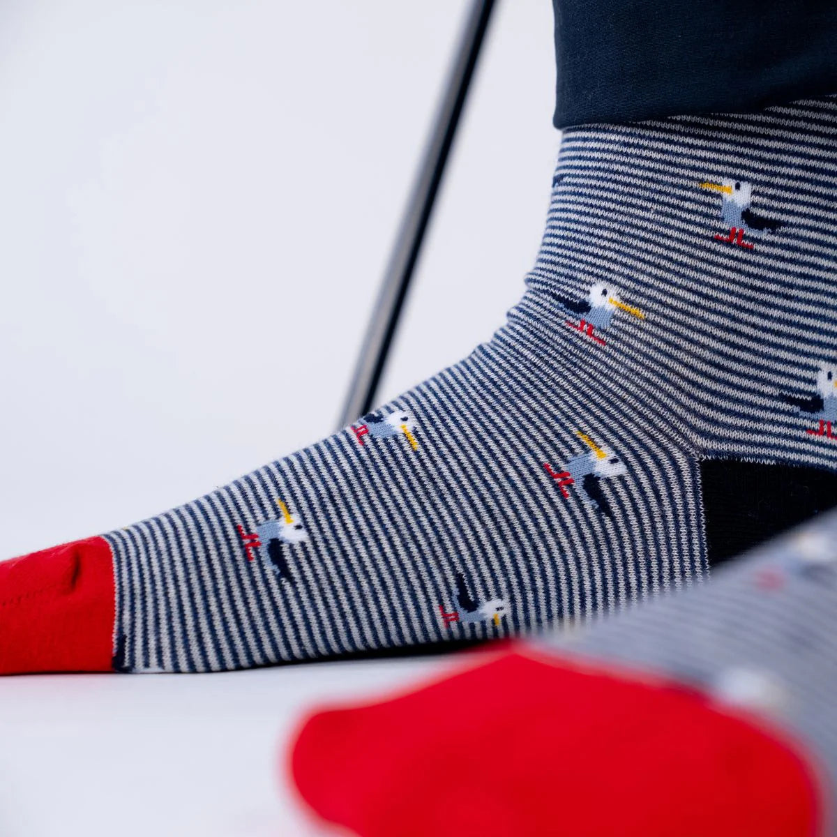 Billybelt - Chaussettes en coton peigné animaux - Goéland