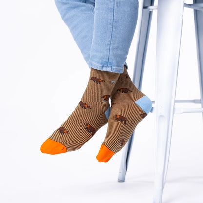 Billybelt - Chaussettes en coton peigné animaux - Ours