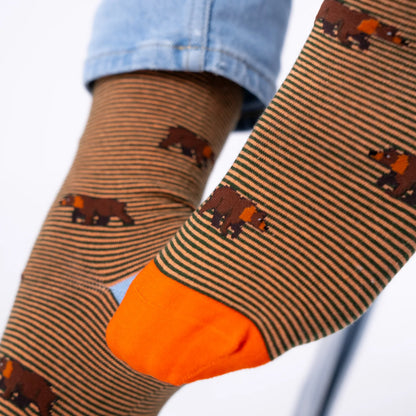 Billybelt - Chaussettes en coton peigné animaux - Ours