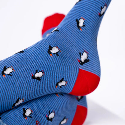 Billybelt - Chaussettes en coton peigné animaux - Pingouin