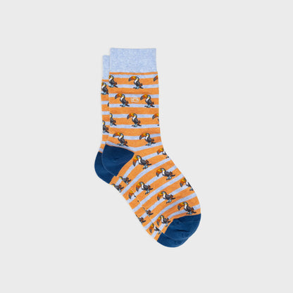 Billybelt - Chaussettes rayées en coton peigné - Toucan - Orange et bleu