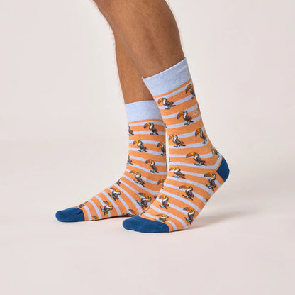 Billybelt - Chaussettes rayées en coton peigné - Toucan - Orange et bleu