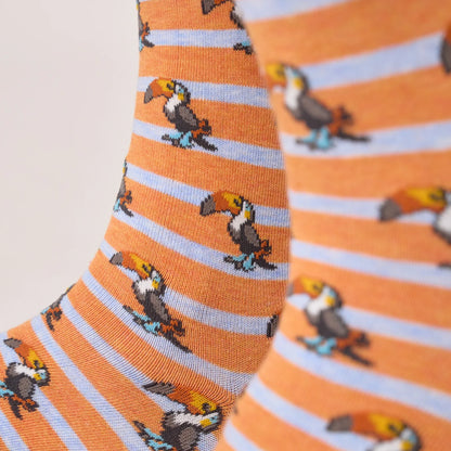Billybelt - Chaussettes rayées en coton peigné - Toucan - Orange et bleu