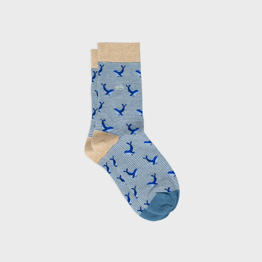 Billybelt - Chaussettes rayées en coton peigné - Baleine - Bleu et beige